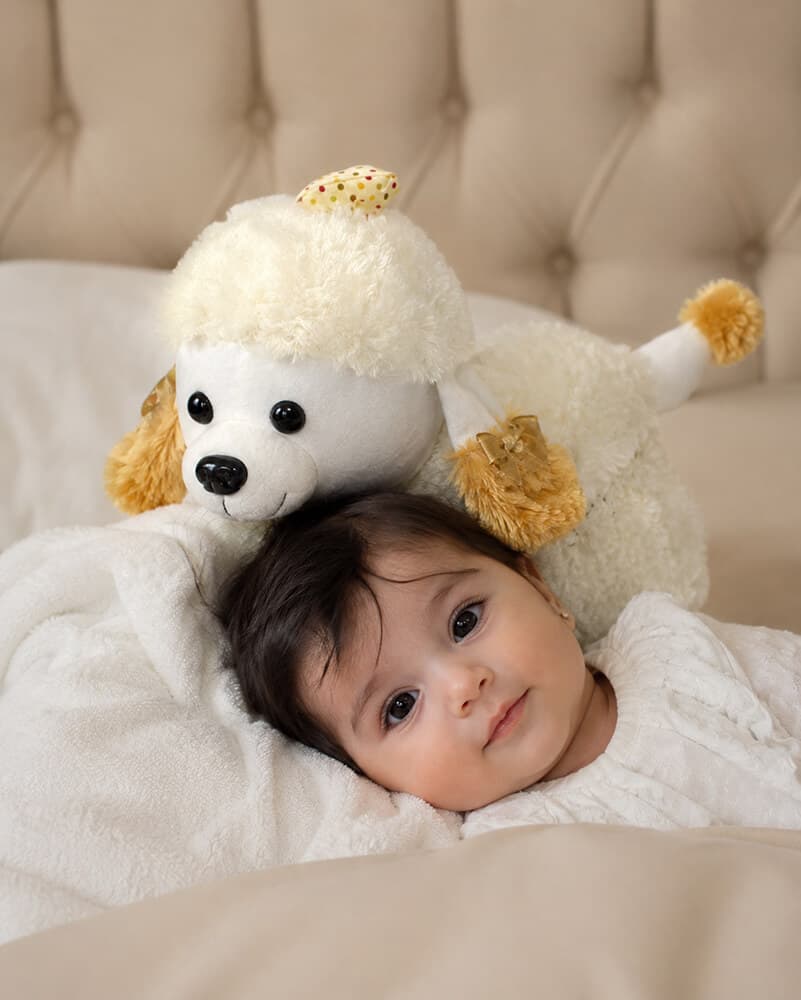 عروسک سیسمونی Puppy