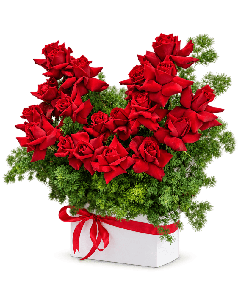باکس گل ۲۰ شاخه رز قرمز عاشقانه